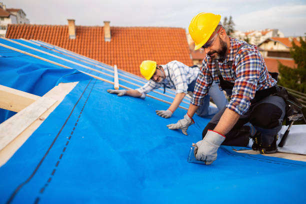 Best Roof Maintenance Services  in Lakes West, CT